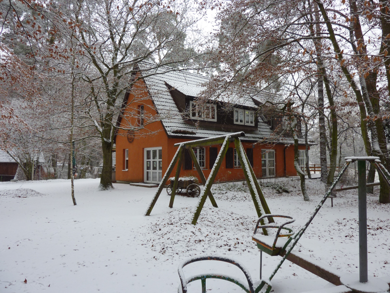 Vorstand